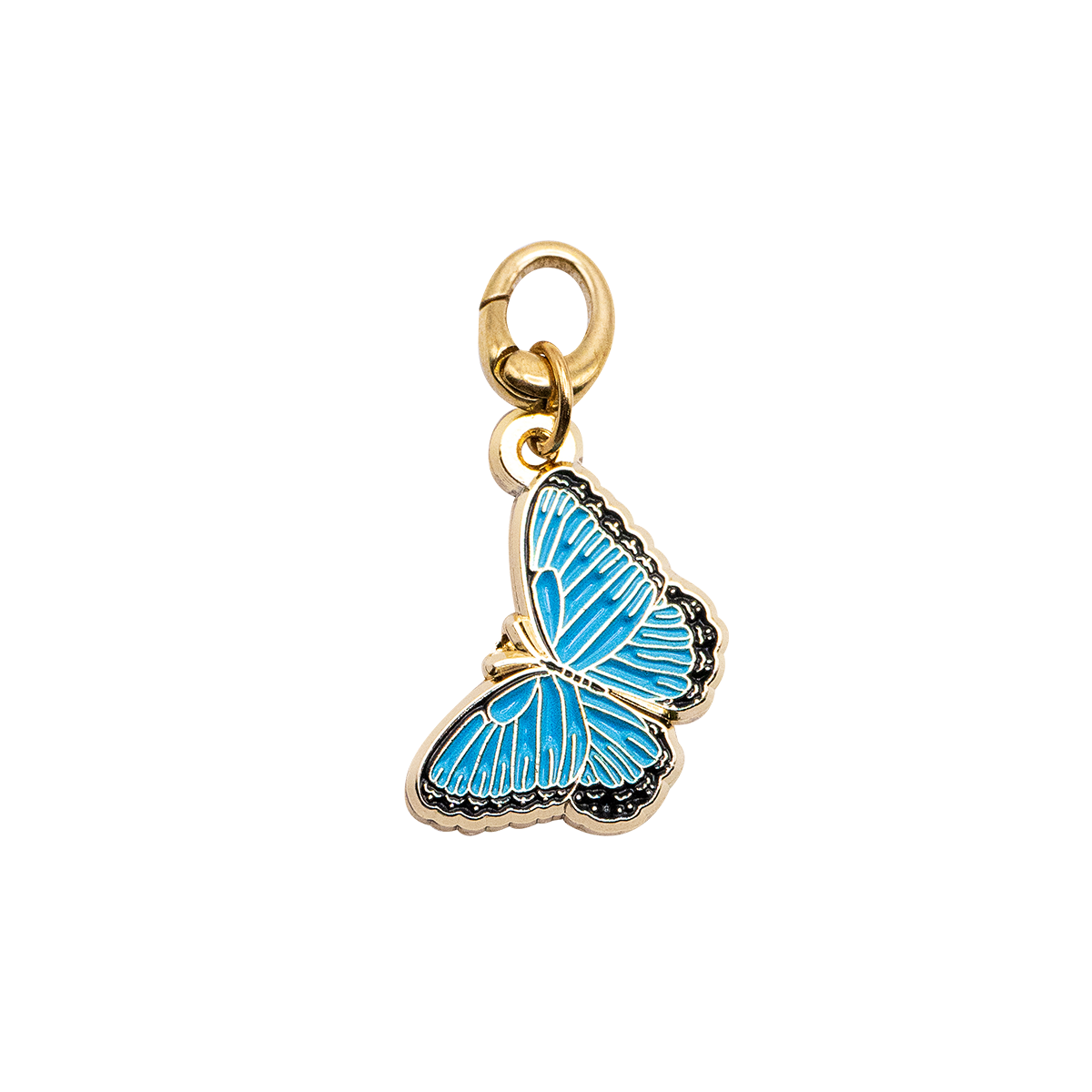 Charm Mariposa Morpho