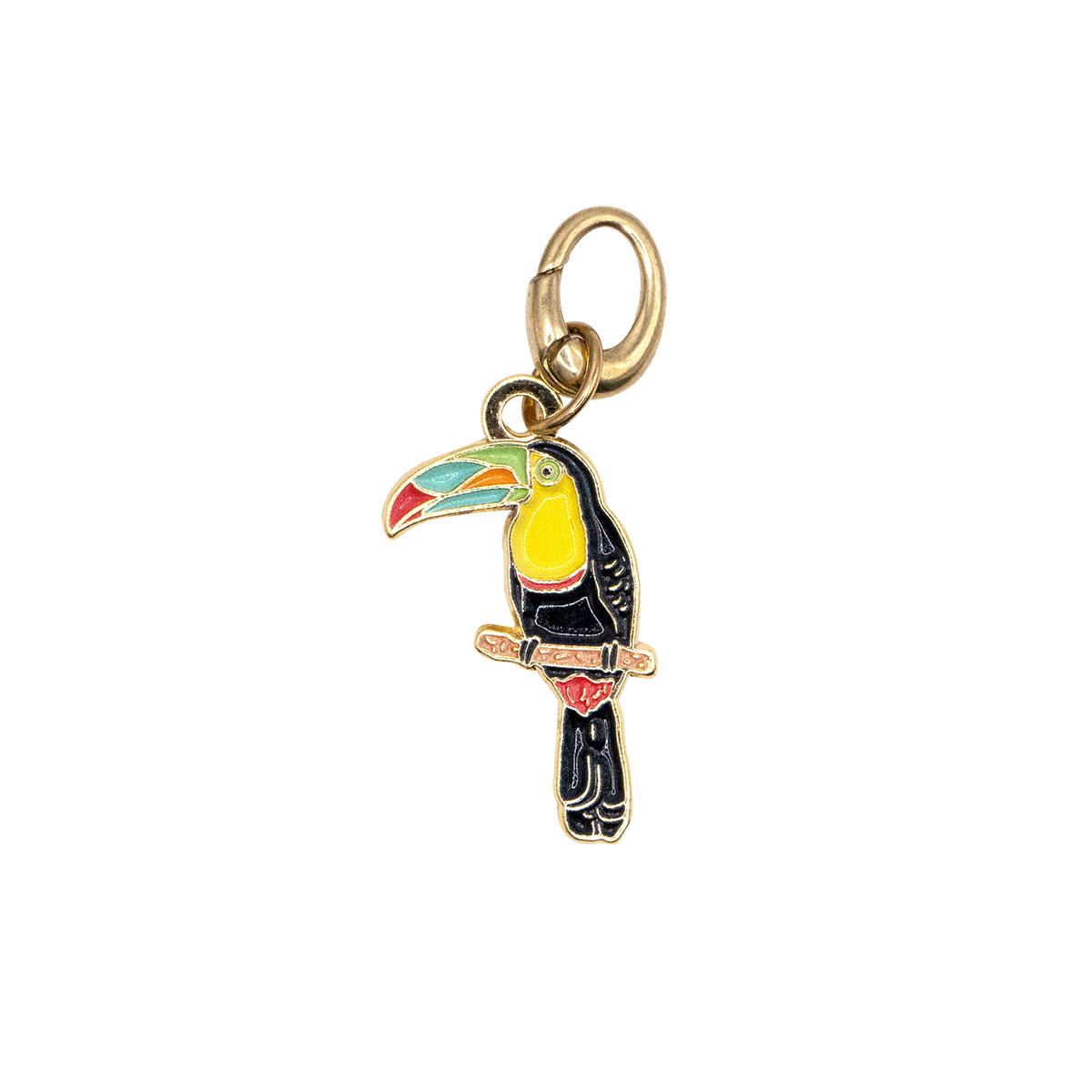 Toucan Charm